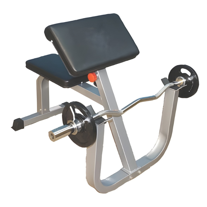 UNITED SITTING ARM CURL